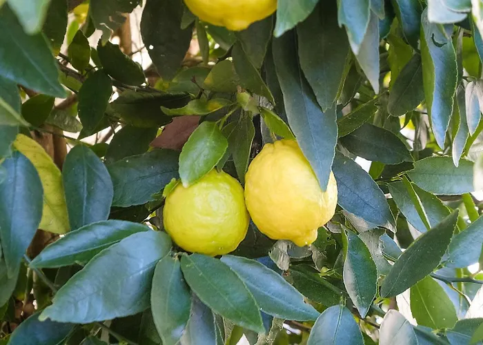 2 Bdr Guadiana House Garden Metro Station 2min * Porto